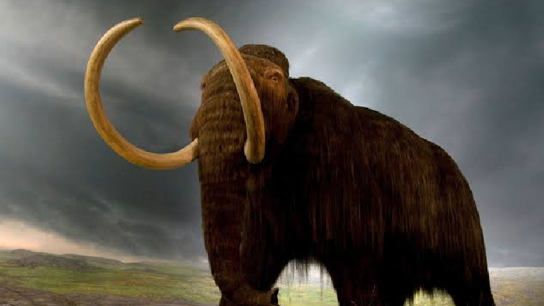 8 Hewan Punah Ini Pernah Dicoba Dihidupkan Kembali