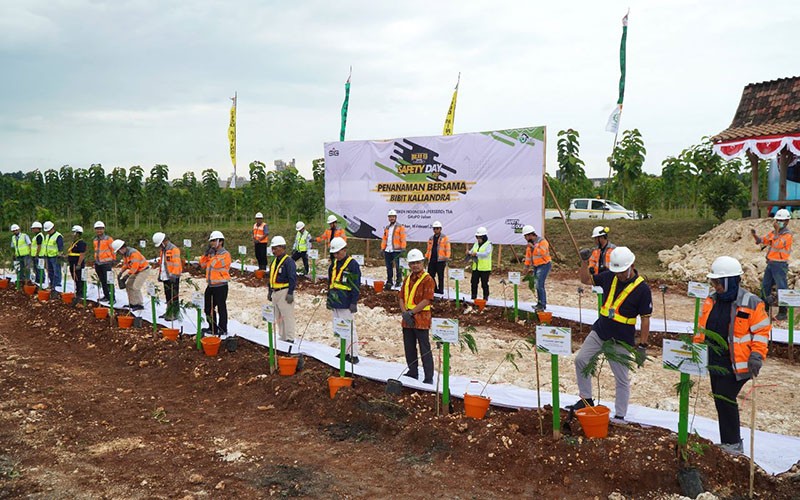 Tingkatkan Pemakaian Bahan Bakar Alternatif Ramah Lingkungan, SIG Tanam Pohon Kaliandra Merah - Bagian 3