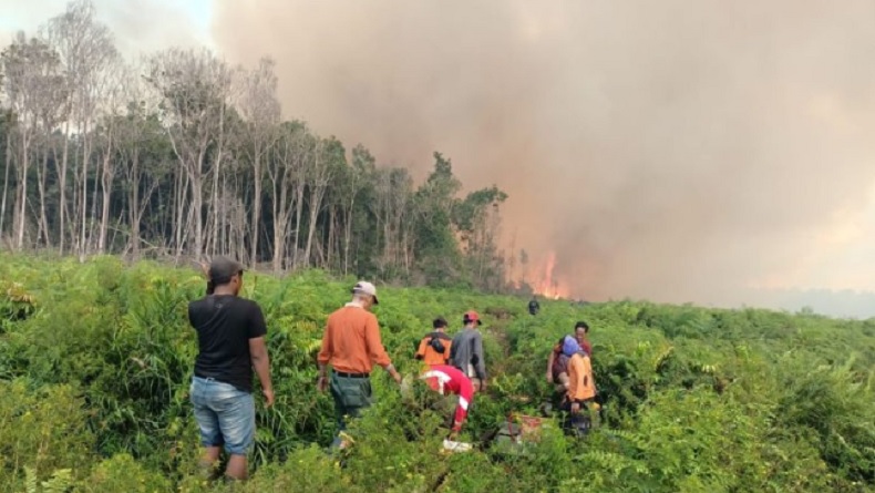 Kebakaran Lahan Sawit di Pesisir Selatan Sumbar Meluas hingga 3 Titik
