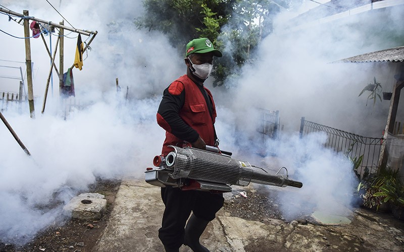 Kasus DBD di Ciamis Capai 100 Lebih, 2 Orang Meninggal - Bagian 2