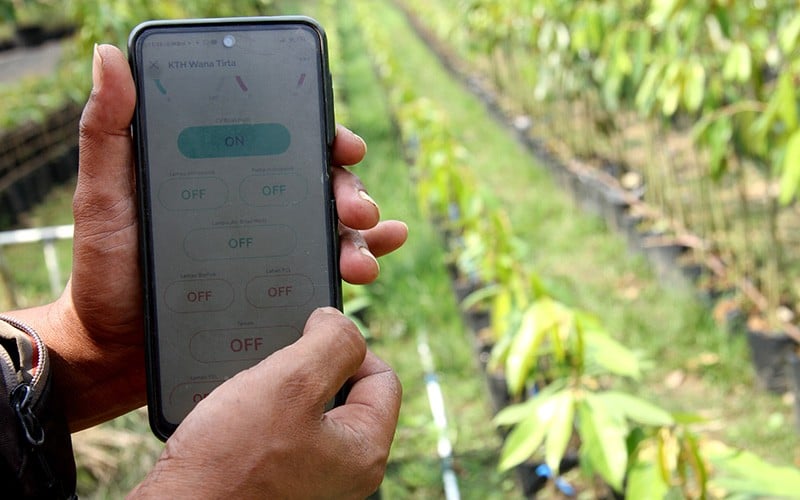 Petani Gunakan Teknologi Digital untuk Tingkatkan Produktivitas  - Bagian 2