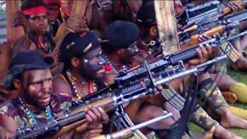 title Organisasi Papua Merdeka: Sejarah dan Tujuan Berdirinya Organisasi Papua Merdeka: Sejarah dan Tujuan Berdirinya