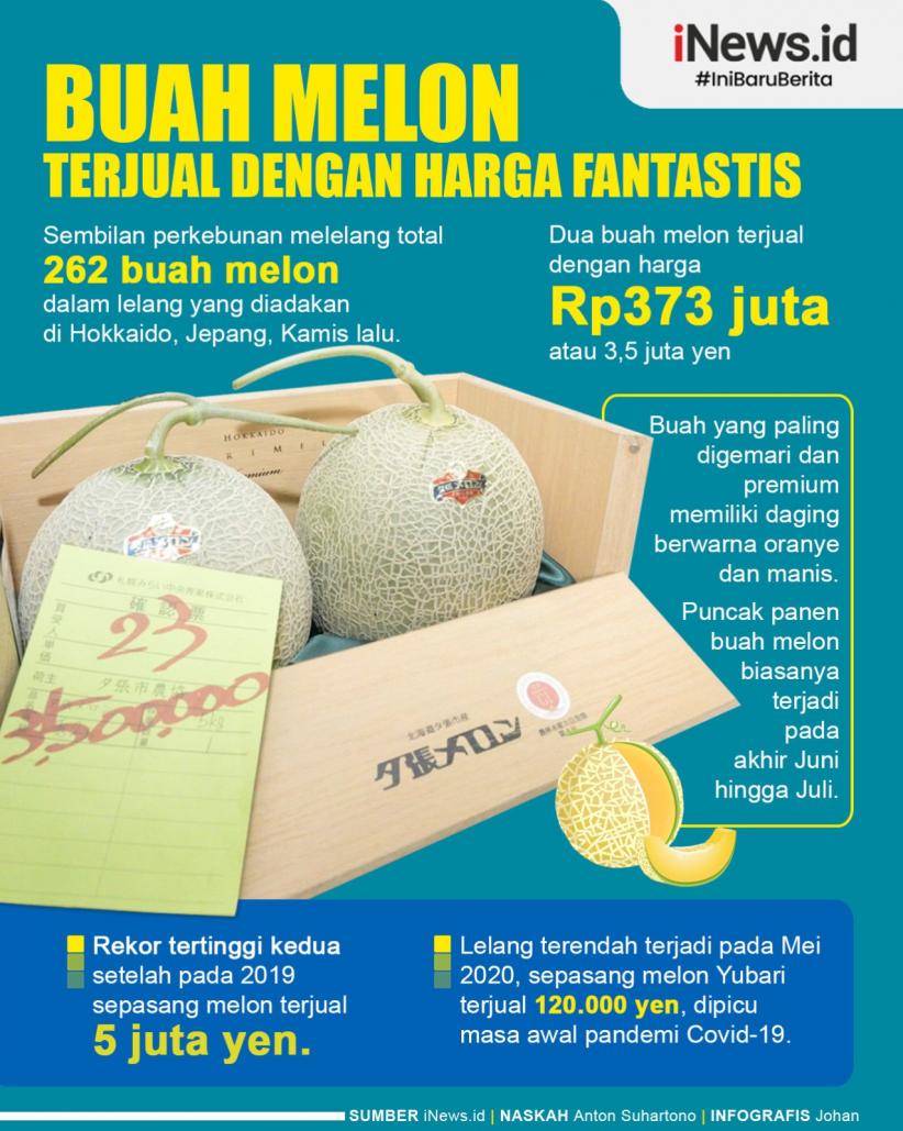 Infografis Buah Melon Terjual dengan Harga Fantastis