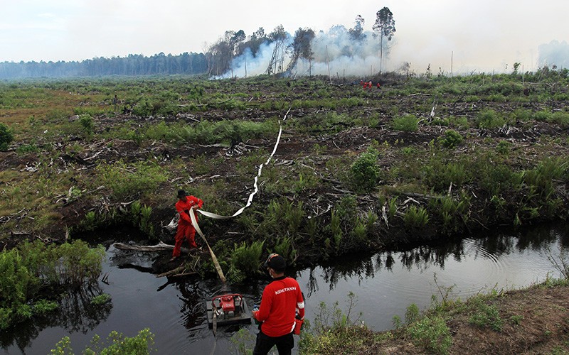 Kebakaran 100 Hektare Hutan Gambut di Sumatera Barat - Bagian 2
