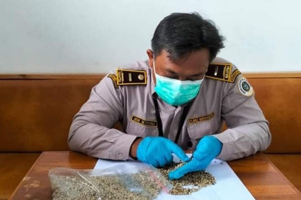  Tembus Pasar 12 Negara, Ekspor Lada Putih dari Semarang hingga April Capai Rp3 Miliar 