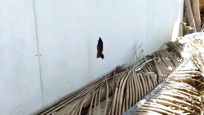 Teror Pelemparan Batu Bikin Rumah di Pandeglang Jebol, Warga Resah