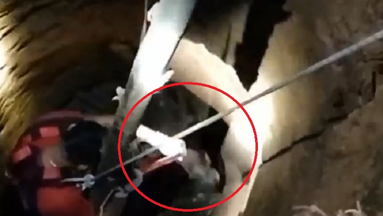 Sapi Jatuh ke Sumur Tua 15 Meter di Maros, sempat Ngamuk saat Dievakuasi