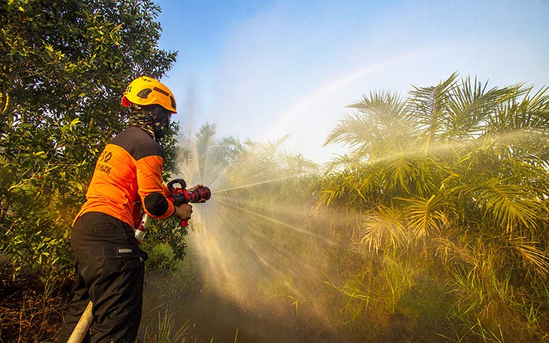 Kebakaran 18 Hektare Lahan di Banjarbaru - Bagian 1