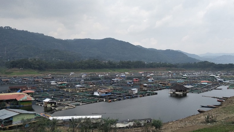 Musim Kemarau, Kebutuhan Pakan Ikan di KJA Waduk Saguling KBB Dipastikan Naik