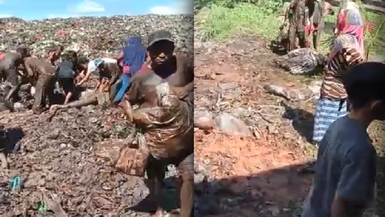 Viral Warga Berebut Daging Kerbau Ilegal yang Dimusnahkan di Tempat Pembuangan Sampah