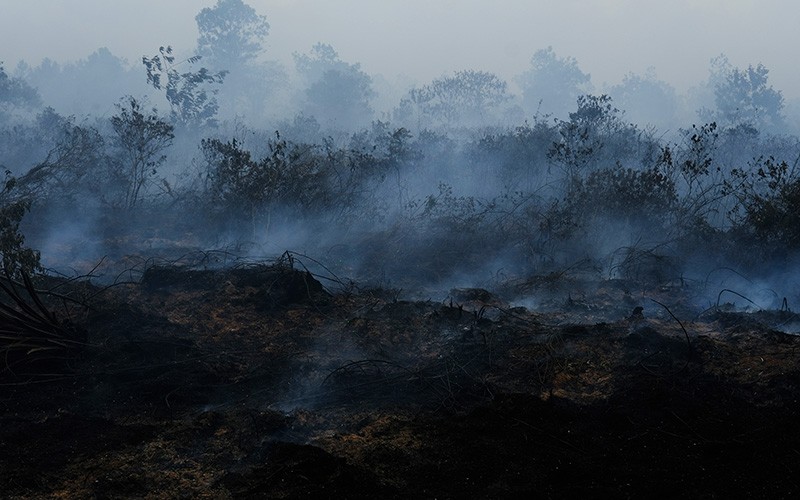 Petugas Gabungan Berjibaku Padamkan Kebakaran Lahan Gambut di Kubu Raya - Bagian 2