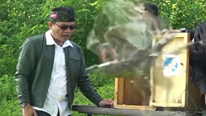 2 Elang Brontok Dilepasliarkan di TWA Kawah Kamojang Bandung