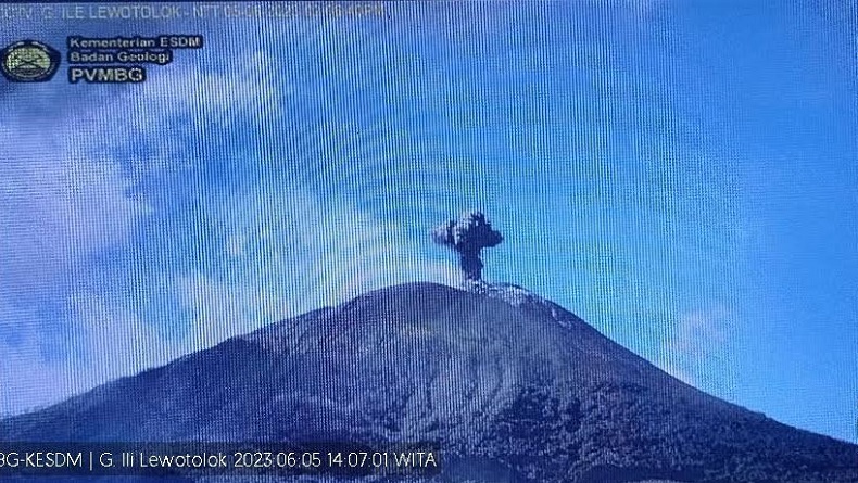title Gunung Ile Lewotolok Erupsi, Tinggi Letusan 550 Meter di Atas Puncak Gunung Ile Lewotolok Erupsi, Tinggi Letusan 550 Meter di Atas Puncak