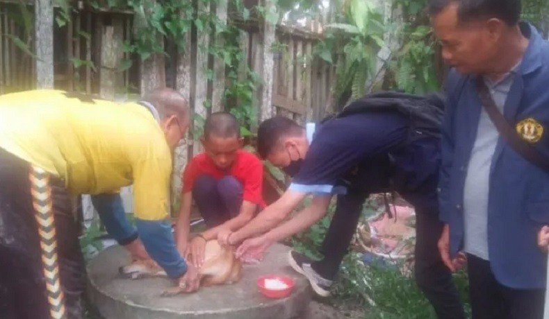title Pemkab Sintang Gelar Vaksinasi Rabies Usai 5 Warga Meninggal akibat Digigit Anjing Pemkab Sintang Gelar Vaksinasi Rabies Usai 5 Warga Meninggal akibat Digigit Anjing