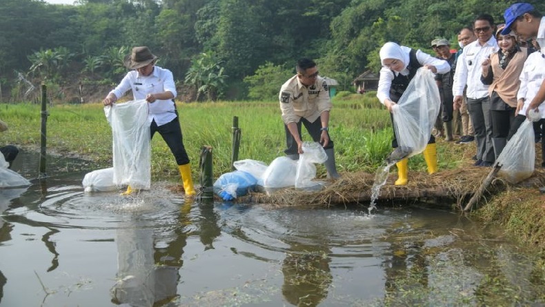 Bupati Anne Tebar Benih Ikan Nila ke Seluruh Danau di Purwakarta 