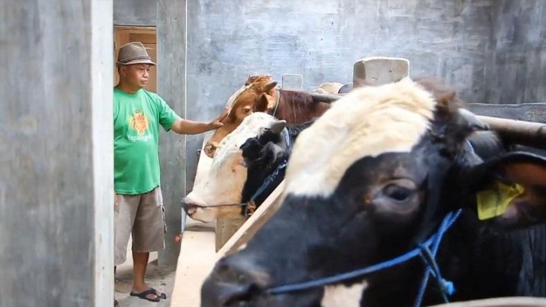 Pedagang Hewan Kurban di Blora Kebanjiran Order Jelang Idul Adha