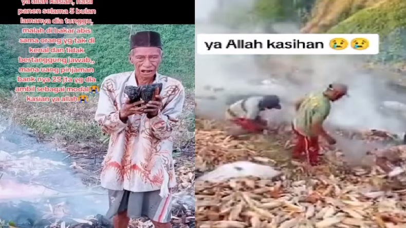 Pilu, Kakek Ini Tunggu Panen Jagung 5 Bulan tapi Lahan Malah Dibakar Orang Tak Dikenal 