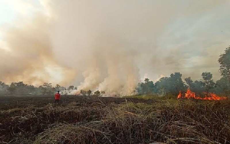 700 Hotspot Muncul di Sumsel, Bulan Mei Terbanyak