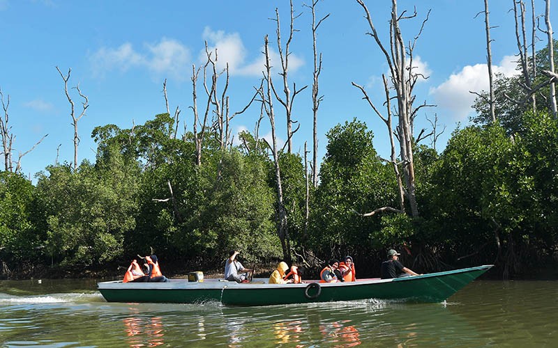 Hutan Mangrove Center, Proyek Percontohan Pengurangan Sampah Laut - Bagian 2