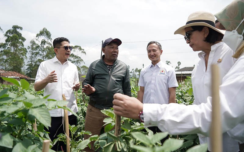 Hari Keamanan Pangan Sedunia, Pentingnya Harmonisasi Standar Pengolahan Pangan di ASEAN - Bagian 1