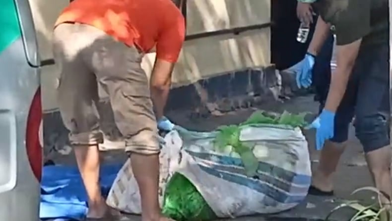 Ciri-Ciri Mayat Ditemukan Tanpa Tangan dan Kaki di Sidoarjo, Laki-Laki Berusia 20-30 Tahun