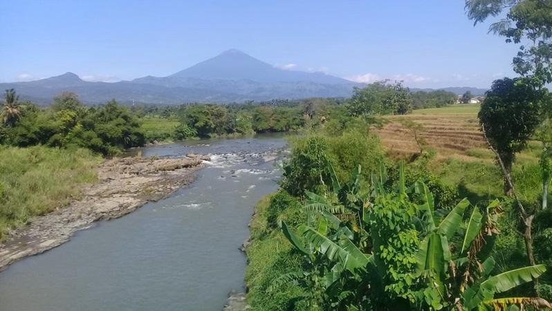 Musim Kemarau, Aliran Sungai Comal Pemalang Menyusut dan Dangkal