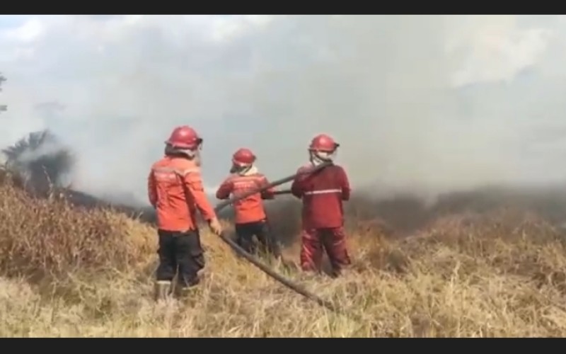 5 Hektare Lahan Tidur di Ogan Ilir Terbakar, Tim Darat dan Helikopter Dikerahkan 