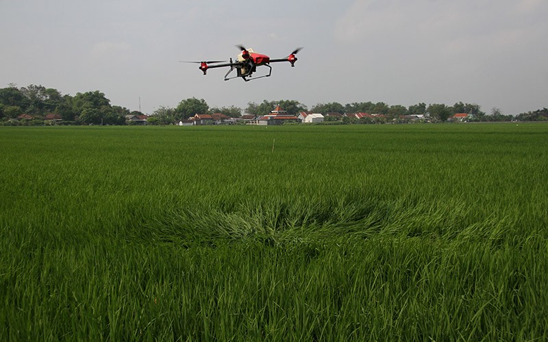 Petani Kerahkan Drone Semprot Cairan Pestisida, Lebih Cepat dan Efektif - Bagian 1