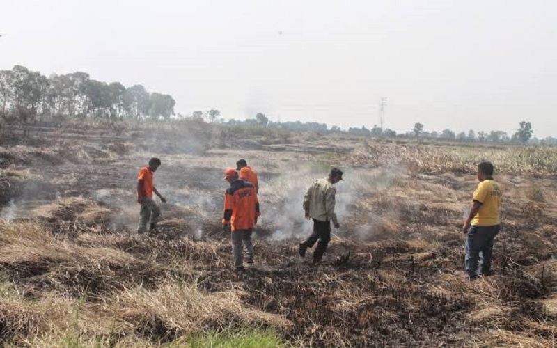 Puluhan Hotspot Terdeteksi di PALI, BPBD Alami Kesulitan Pemadaman
