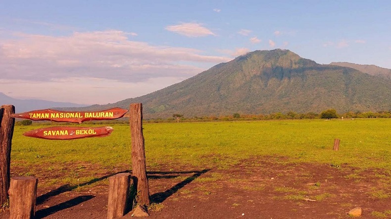 Pengeroyok Petugas Taman Nasional Baluran Situbondo Ditangkap, 1 Buron