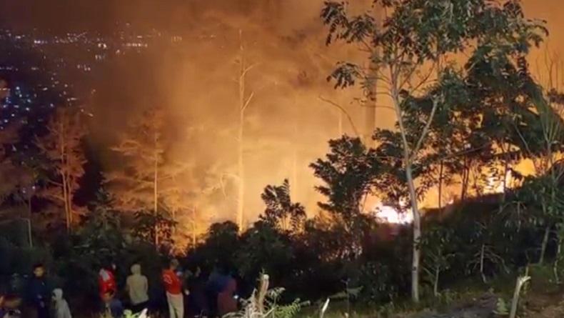 15 Hektare Hutan Lindung di Tepi Danau Laut Tawar Aceh Tengah Terbakar