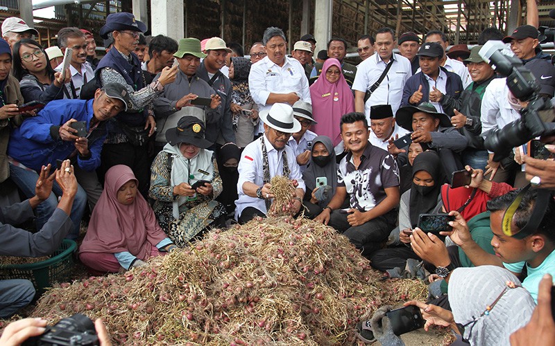 Mentan Syahrul Yasin Limpo Tinjau Budi Daya Bawang Merah di Solok - Bagian 2
