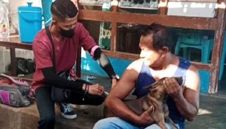 Dinkes Kalbar Minta Kabupaten-Kota Bentuk Rabies Center, 2 Wilayah Ini Jadi Catatan