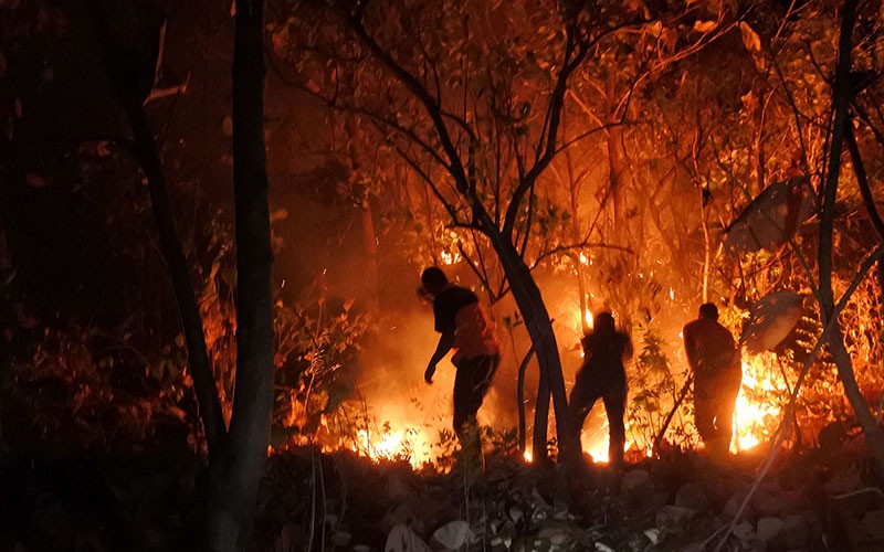 Hutan Jati Seluas 1,5 Hektare Milik Perhutani Kebakaran, Api Sulit Dipadamkan - Bagian 2