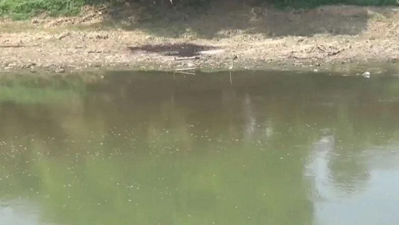 DLH Sukoharjo Imbau Pelaku Usaha Antisipasi Dampak Limbah ke Bengawan Solo