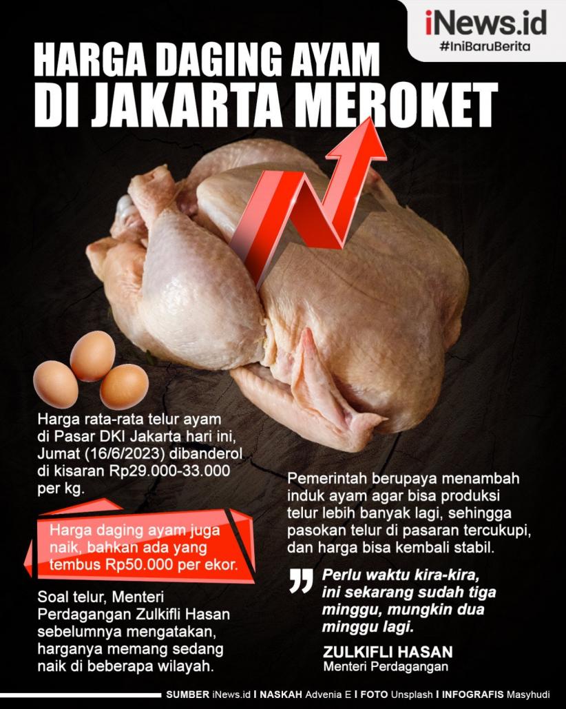 Infografis Harga Daging Ayam di Jakarta Meroket