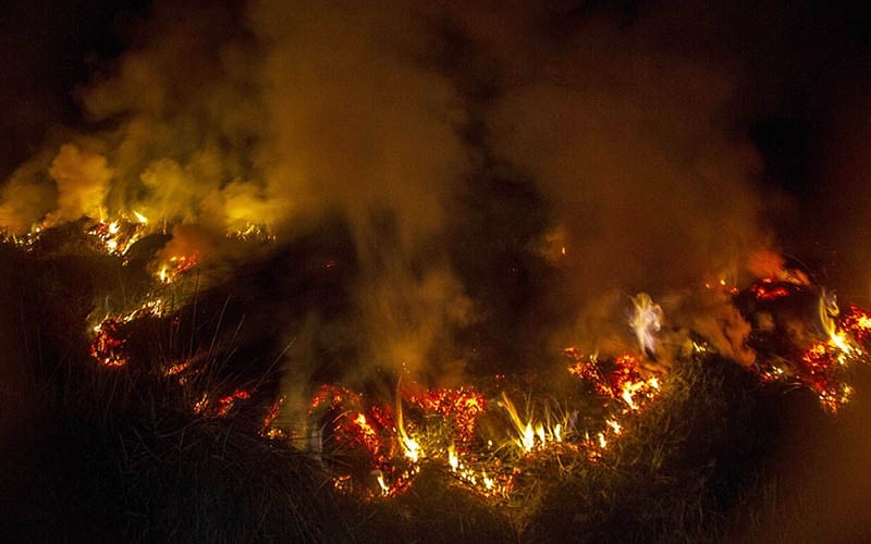 Kebakaran Lahan Gambut di Kalsel, Api Cepat Meluas Sulit Dipadamkan - Bagian 1