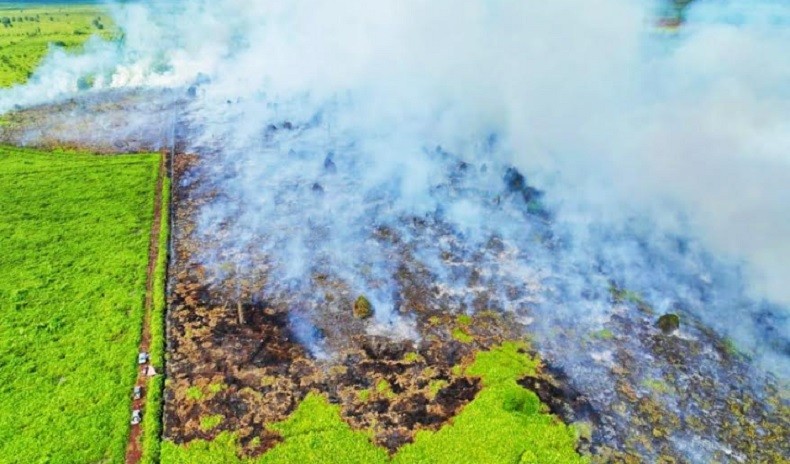 Kebakaran 23 Hektare Lahan Gambut Di Rohul, Helikopter Water Bombing ...