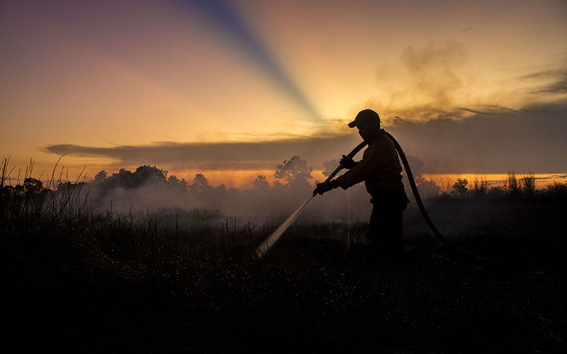 Begini Upaya Pemadaman Karhutla di Ring Satu Bandara Internasional Syamsudin Noor - Bagian 2
