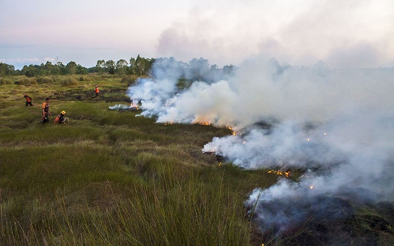Begini Upaya Pemadaman Karhutla di Ring Satu Bandara Internasional Syamsudin Noor - Bagian 1
