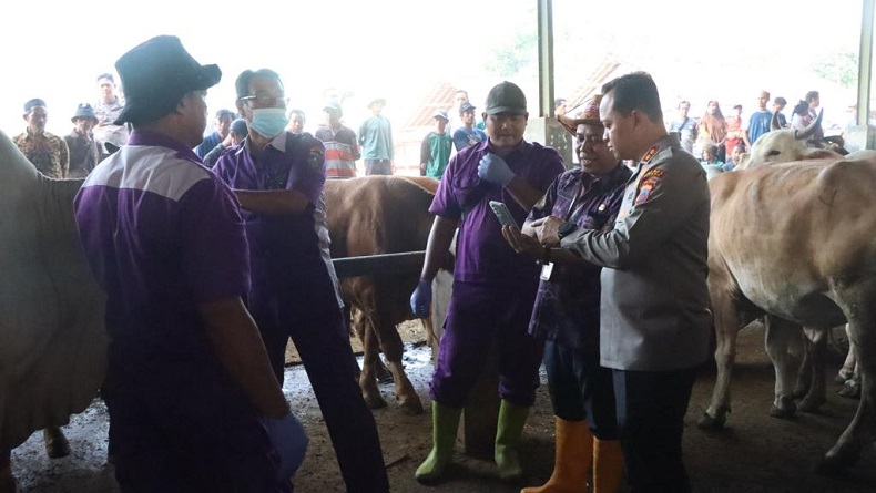 title Jelang Idul Adha, Polres Jepara Turut Pantau Kesehatan Hewan Kurban Jelang Idul Adha, Polres Jepara Turut Pantau Kesehatan Hewan Kurban