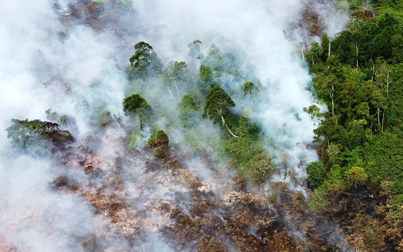 Karhutla di Kobar Capai 60 Hektare, Kebun Sawit Warga Ludes Dilalap Api