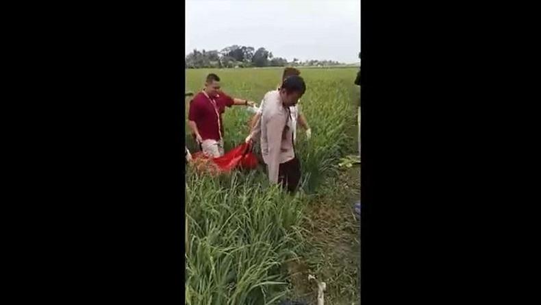 Gadis di Cilacap Tewas Dibunuh, Mayat Dibenamkan ke Lumpur Sawah