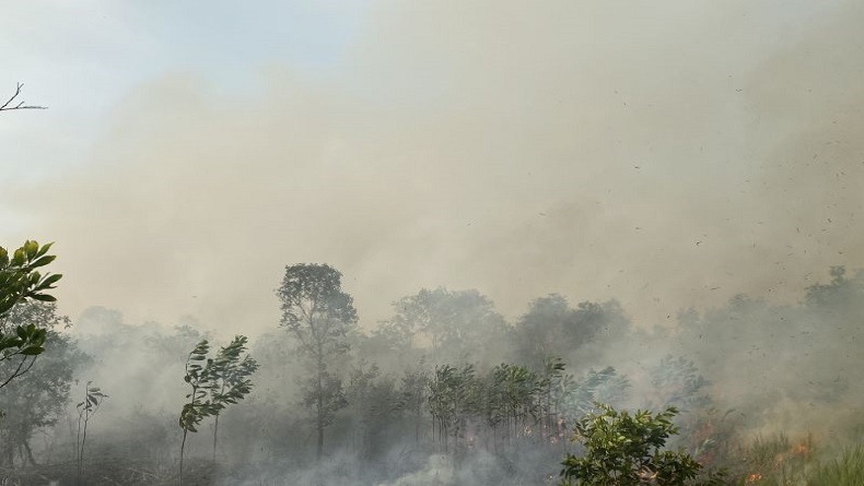 Karhutla di Banjarbaru Sebabkan Kabut Asap, Warga Diimbau Pakai Masker