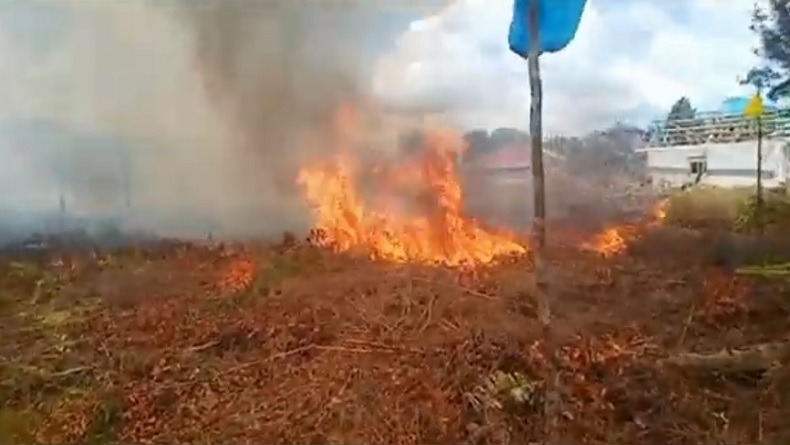 title Penampakan Kebakaran Lahan Dekati Permukiman di Kalteng, Api Berkobar Lalap Semak Belukar Penampakan Kebakaran Lahan Dekati Permukiman di Kalteng, Api Berkobar Lalap Semak Belukar