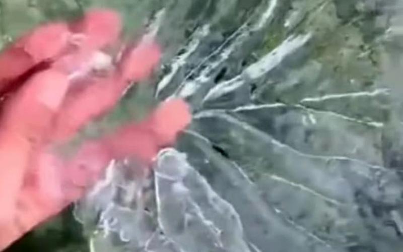 Viral Embun Upas Menempel Tanaman Kubis di Dieng, Ini Penjelasan Stasiun Meteorologi Semarang