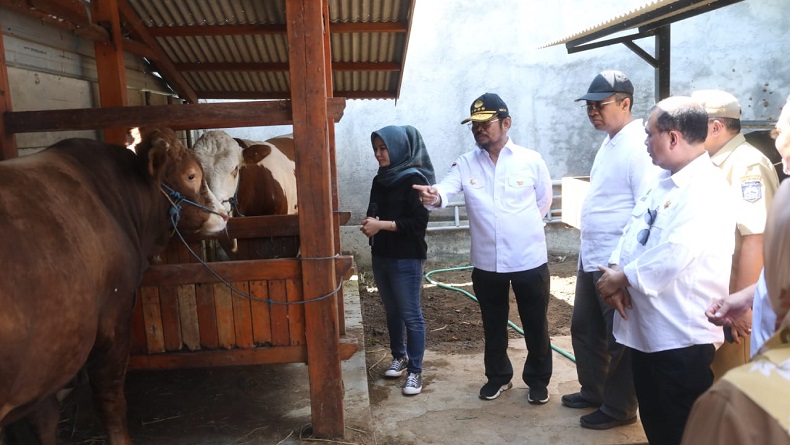 Cek Ketersediaan Sapi di NTB, Mentan Pastikan Hewan Kurban Harus Layak Konsumsi