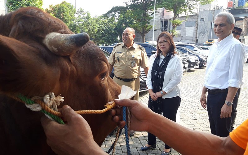 Sambut Iduladha 1444 H, ACC Salurkan Ratusan Hewan Kurban - Bagian 3
