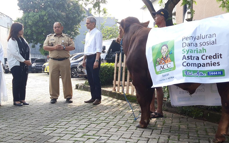 Sambut Iduladha 1444 H, ACC Salurkan Ratusan Hewan Kurban - Bagian 2