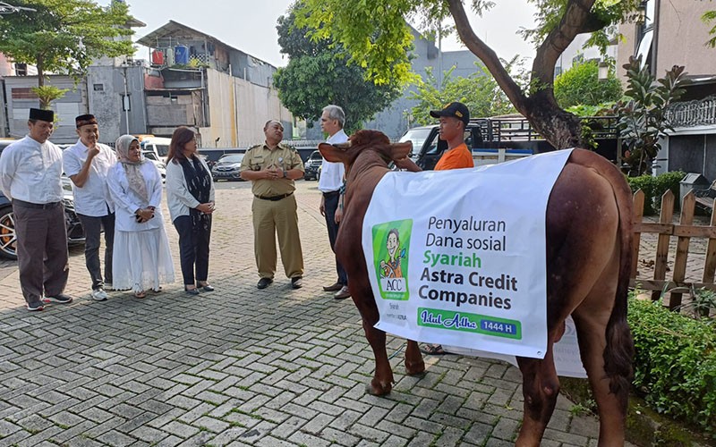 Sambut Iduladha 1444 H, ACC Salurkan Ratusan Hewan Kurban - Bagian 1